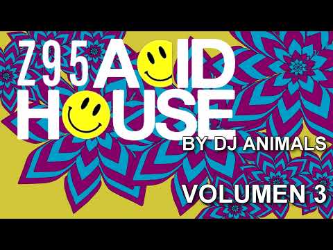 Z95 Acid House