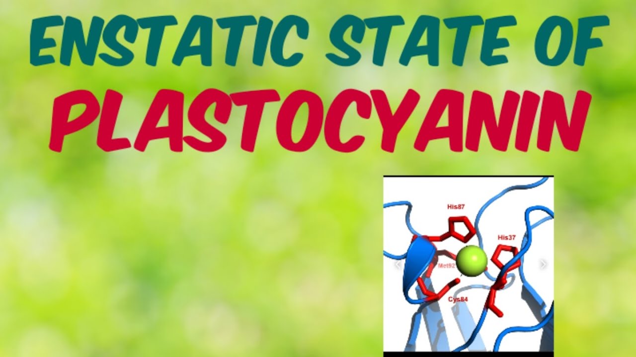 Plastocyanin Entatic state YouTube