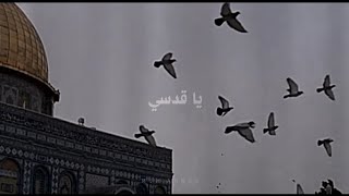 تكويني شهقات الثكالى - يا قدسي 💔.