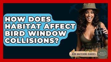 How Does Habitat Affect Bird Window Collisions? - Bird Watching Diaries