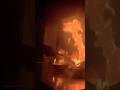 Food on Fire Show