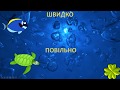 Швидко - повільно. Розвиваюче відео