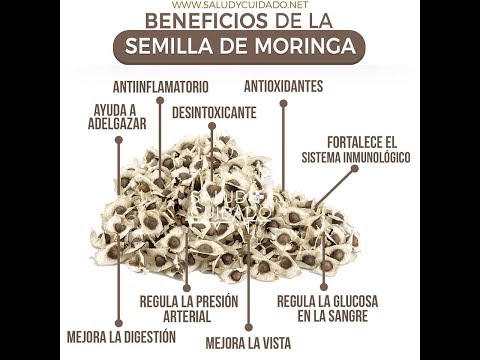 Contraindicaciones moringa para que sirve