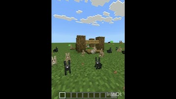 Rabbit trap in minecraft...😁 #minecraft #shorts