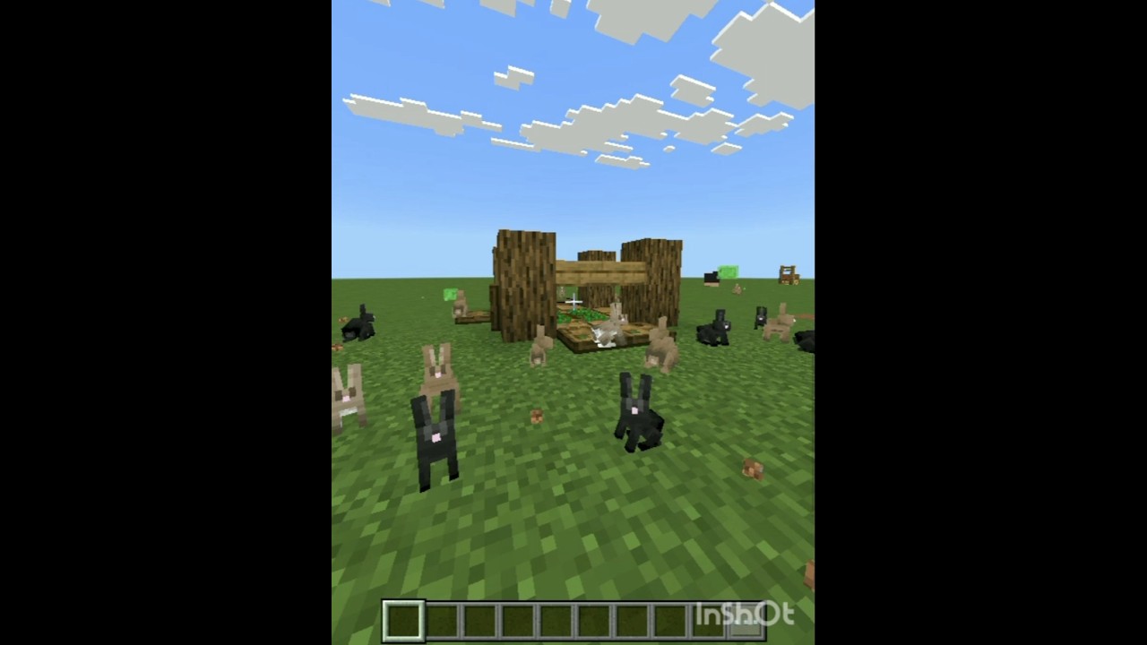 Rabbit trap in minecraft...😁 