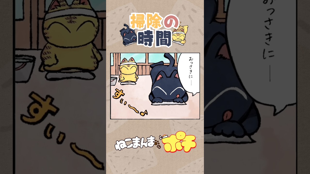 掃除の時間【ねこまんまのポチ】 #ねこまんまのポチ #猫 #漫画 #アニマンガ