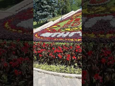 живой календарь