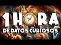 ¡ 1 HORA sin pausas de DATOS CURIOSOS y COSAS QUE NO SABÍAS ! ⏰😲918 #curiomaníatv