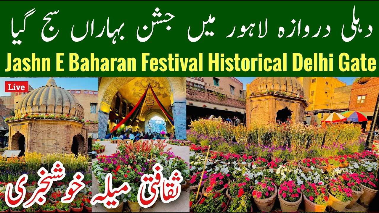 Jashn e bahara festival lahore, Jashn e bahara festival delhi gate lahore, Spring 2025, Mr Phirtu