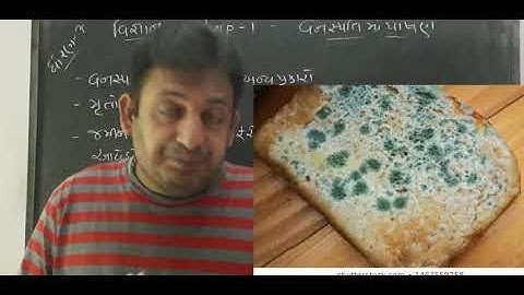 Std 7 science chapter-1 part 2 વનસ્પતિ માં પોષણ|Nutrition in plants