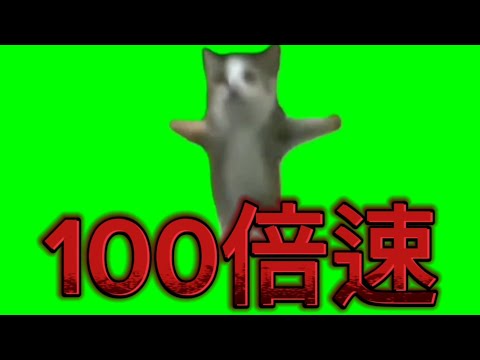 ハッピーcatを倍速してみた 猫ミーム 倍速 猫マニ