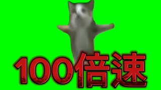 ハッピーcatを倍速してみた【猫ミーム/倍速】【猫マニ】