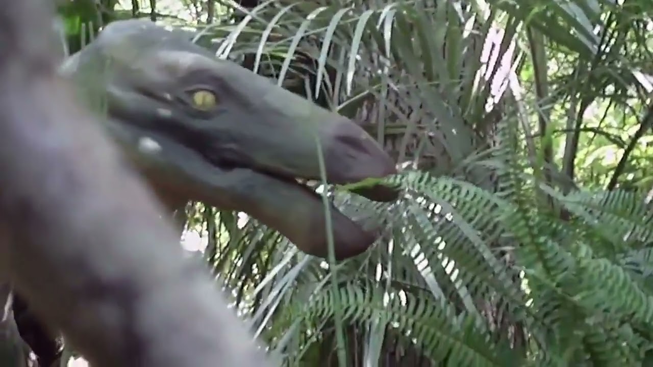 Free Stock Footage Raptor Behind Tree