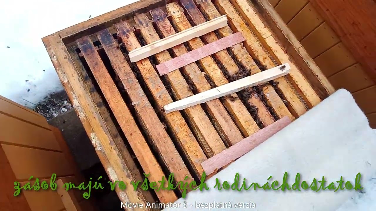 010  Zimná kontrola včelstiev 24.01.2026