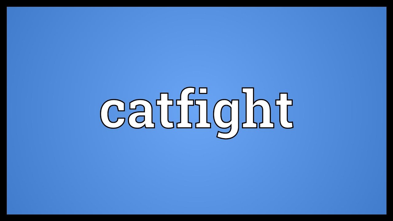 Catfight Meaning YouTube