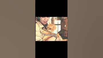 first with the orange cat🥹 #catforcash #firstkhaotung #firstkanaphan #explore #fyp