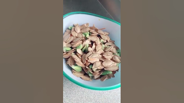 Die KÜRBISKERNE fangen einfach an zu WACHSEN🤩😂