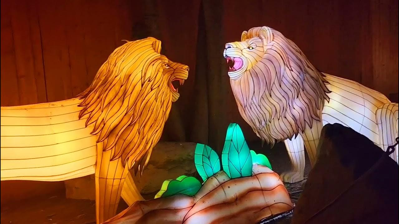 Asian Lantern Spectacular Festival. Providence. Wait for end. Enjoy beautiful nature with rural