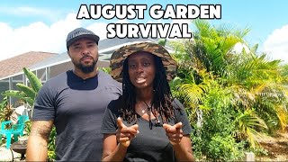 How We’re Saving Our Florida Garden from Heat & Storms