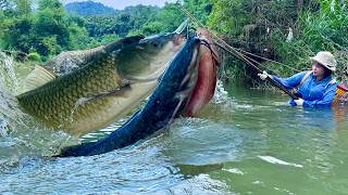 Traditional fishing skills - Single mother catches giant fish using family heirloom fishing net.
