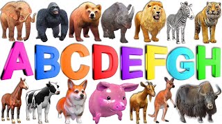 Kindergarten I Learning ABCs I Alphabet Animal Names I Beginning sounds by Grishma Dhawan , OCT