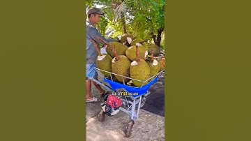 bất ngờ máy cắt cỏ kết hợp xe rùa vận chuyển quá khỏe