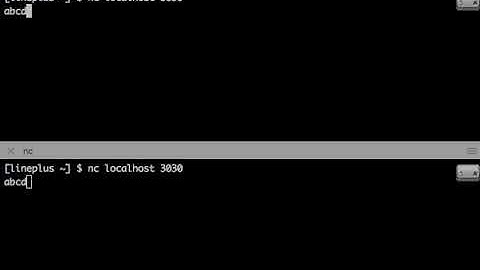 Tcp Echo Server - Testing SingleServer