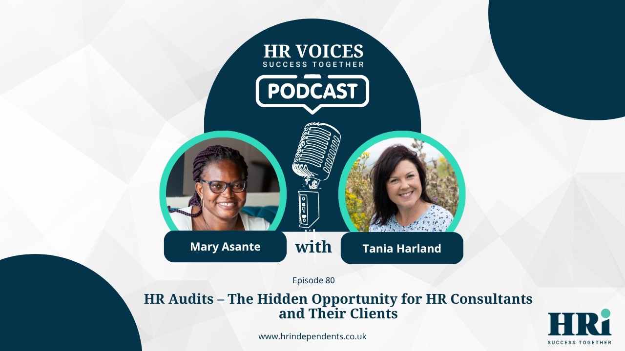 Episode 80: HR Audits – The Hidden Opportunity for HR Consultants and Their Clients