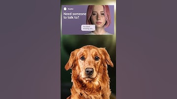 Bring home an AI Chat agent