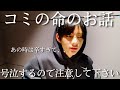 ヒョンジン家のコミの命のお話。【straykids スキズ　日本語字幕　hyunjin】