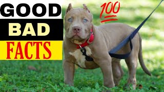 ⁣American Bully XL Pitbull Puppies