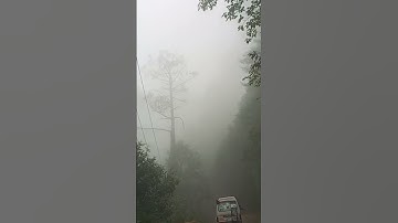 my first vlog #short #shortsfeed #shorts #shortvideo #vlog #shortsvideo #today #firstvlog  #vlog