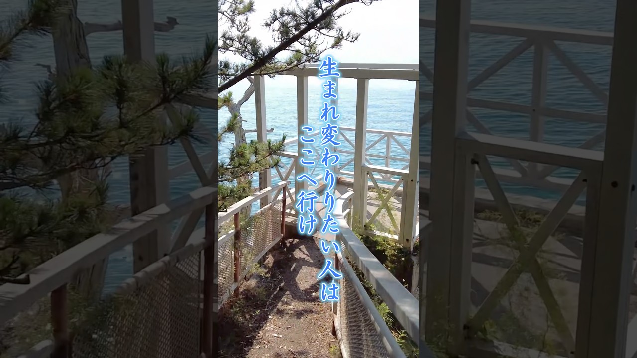 生まれ変わりの聖地で新たな出発『西濱神社』