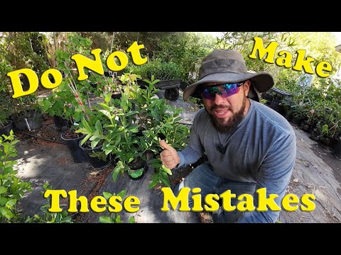 Common Gardening Mistakes That KILL Plants