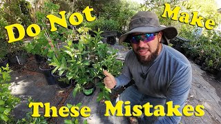 Common Gardening Mistakes That KILL Plants