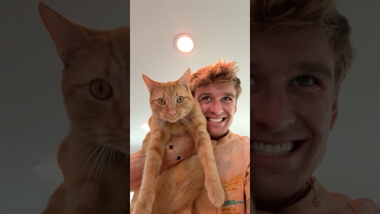 Giving my cat new nails💅 w Carter Kench 