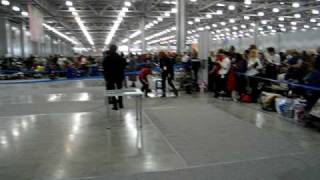 MVI_8033.avi