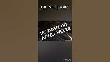 The Daggerfall Experience #daggerfallunity #skyrim #theelderscrolls #TES