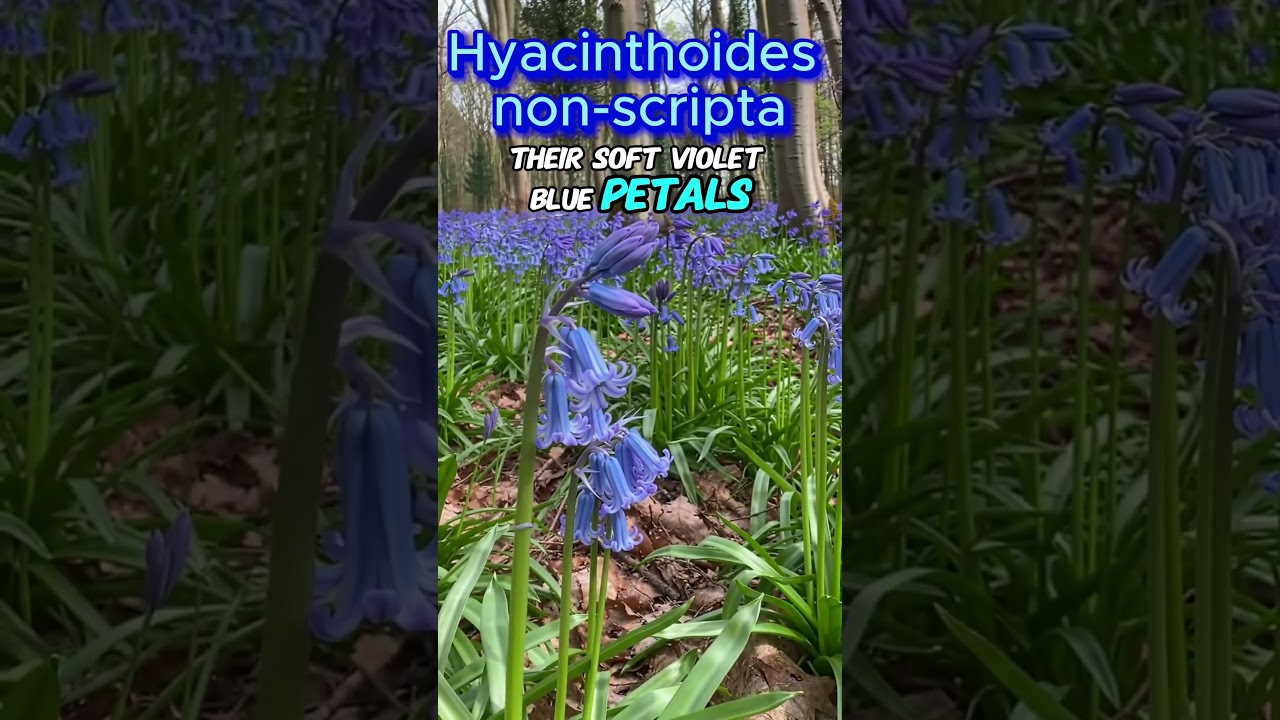 Bluebell – Enchanted Forest Bloom | AI Botanical Art 