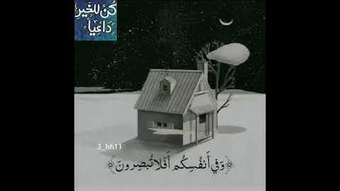 (القارئ أحمد العجمي) وفي أنفسكم أفلا تبصرون