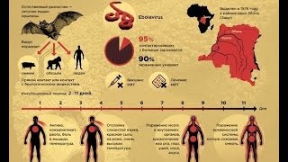 Своими глазами Вирус Эбола 2014 Документальный фильм