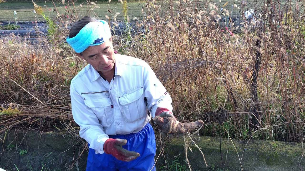 農業で地方創生にかける想い 株式会社まつの 農業で地方創生にかける想い 株式会社まつの