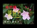 夾竹桃 牧村三枝子 Cover細道      ハルカさんにて