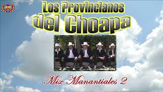 Video thumbnail of "Los Provincianos del Choapa - Mix Manantiales 2 (Audio)"