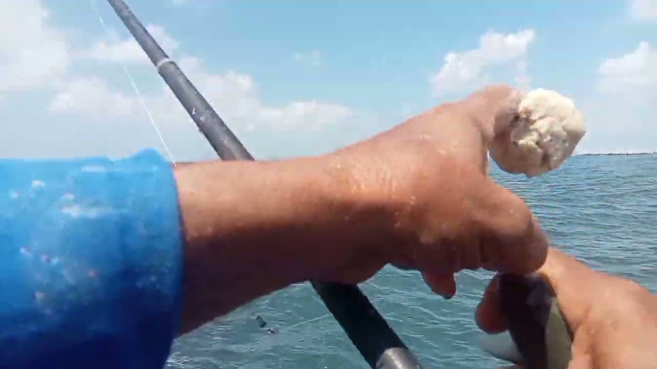 من اكبر الدلائل تعرف  ان البور ياكل عليك هتشوفها داخل الفيديو