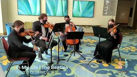 In My Life | The Beatles (Ampd String Quartet)