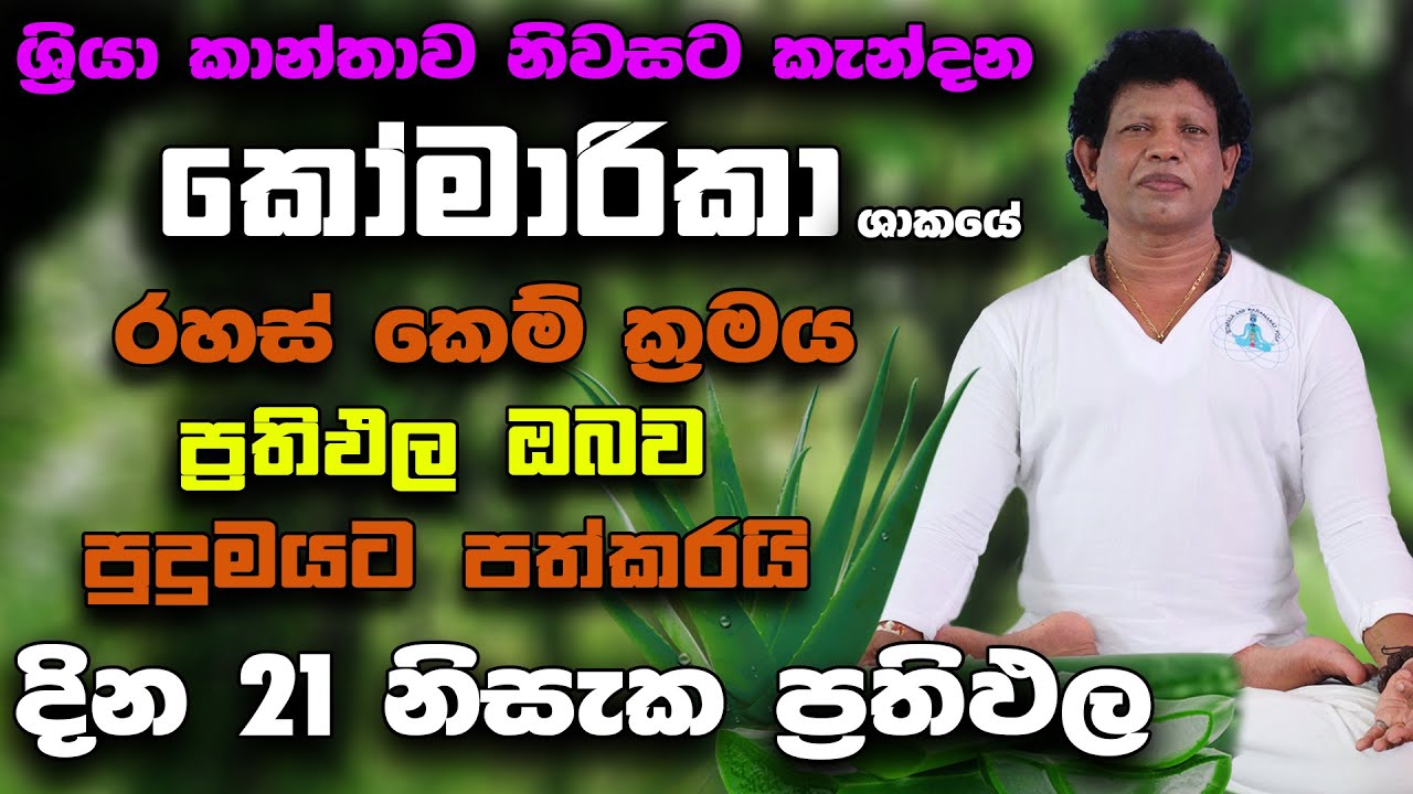මෙ කෙම් ක්‍රමය ඔබත් අත් හදා බලන්න|ධනය ගලා එන කෝමාරිකා|දින 21 නිසැක ප්‍රතිඵල| Aloe Vera|venas lokaya