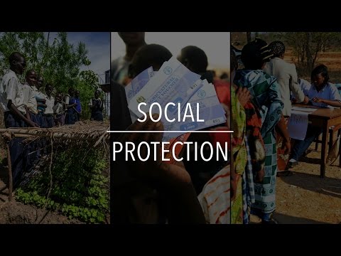 FAO Policy Series: Social Protection