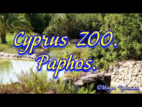 Видео: Пафос Bird & Animal Park описание и снимки - Кипър: Peyia