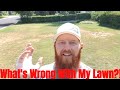 DIY how to repair lawn Patchy dead areas, brown dead grass, turf insects.  What's wrong with my lawn